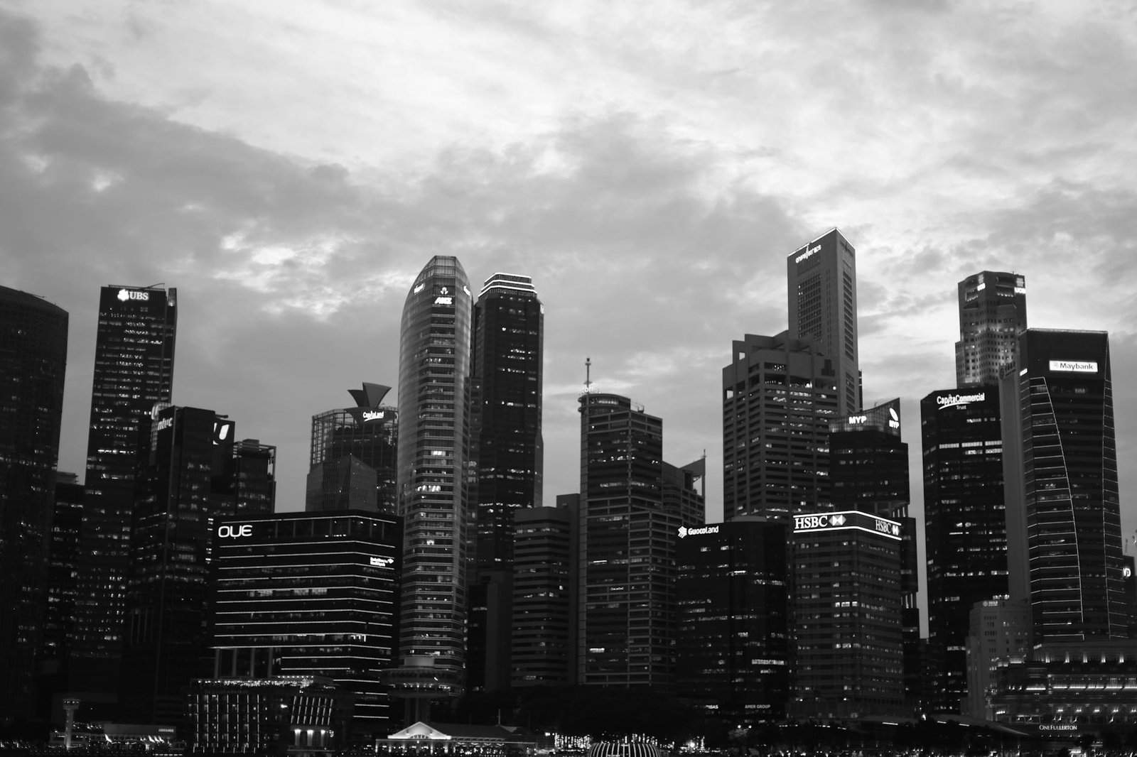 Captivating cityscape of Singapore's skyline in black and white, capturing the essence of urban sophistication.